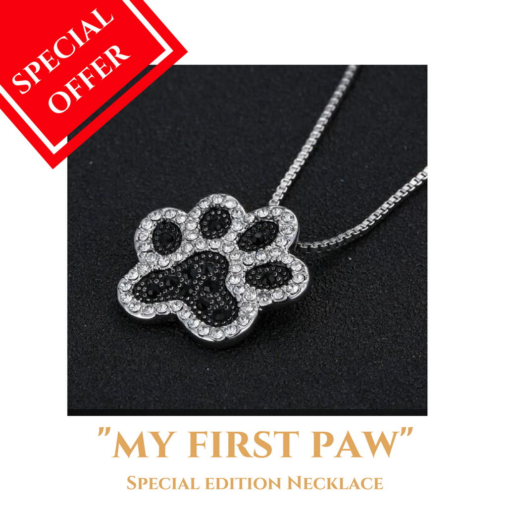Dog Mom -"MY FIRST PAW" Necklace