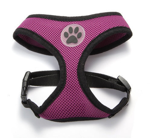 ZValue-Friendly Breathable Mesh & Padded Vest Harness Purple / XS